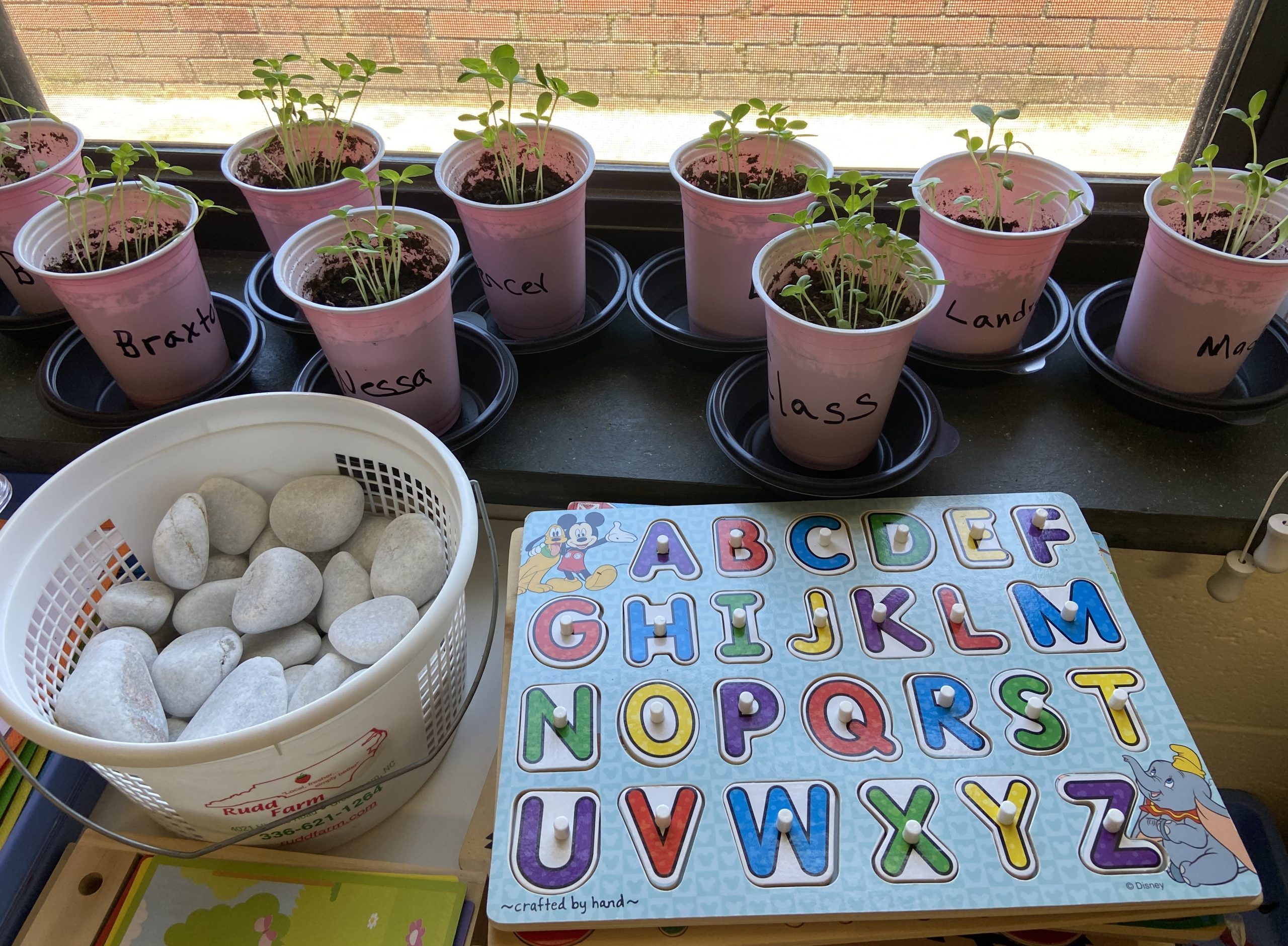 Photos Macedonia United Methodist Church